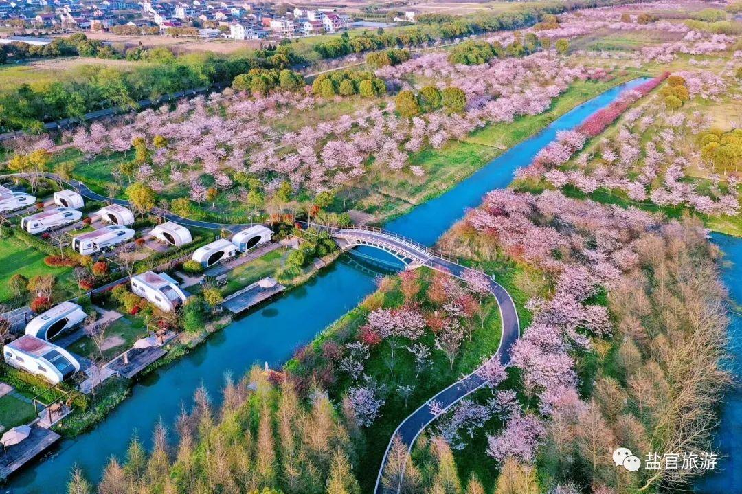 盐官古镇一日游作文_盐官旅游攻略_盐官有啥好玩的