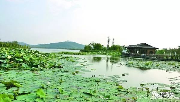 无锡灵山值得去吗_无锡灵山一日游跟团价格_无锡攻略旅游南京出发二日游灵山