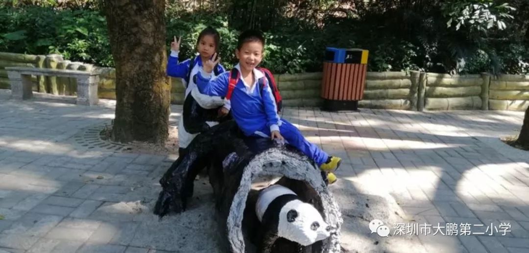 深圳野生动物园值得去吗_深圳野生动物园一日游_深圳野生动物园旅游攻略