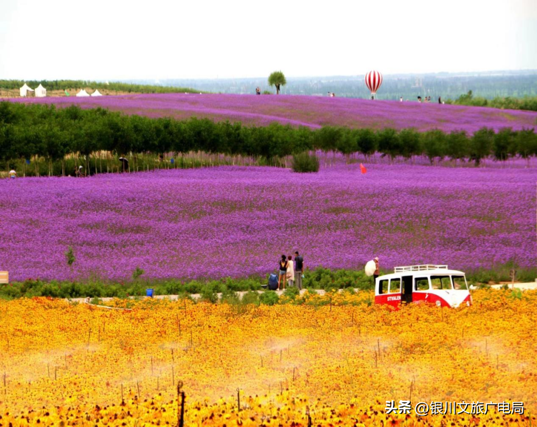 宁夏银川旅游攻略景点必去_宁夏银川旅游攻略_宁夏银川攻略旅游景点推荐