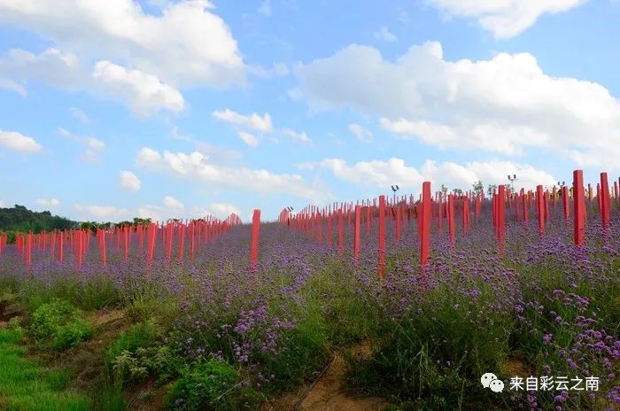 弥勒县旅游_弥勒市旅游攻略_弥勒市旅游路线