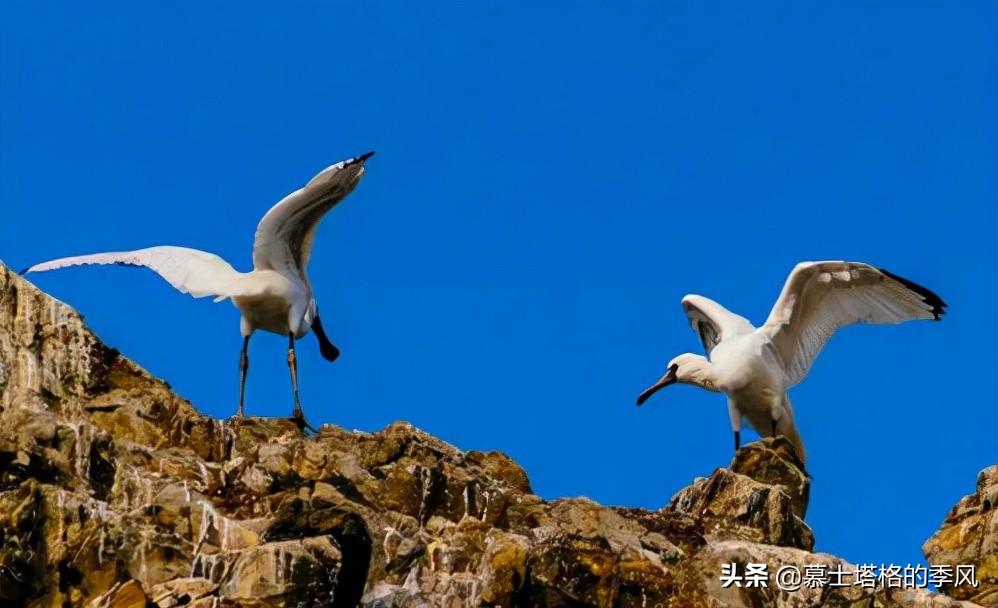 国内海边旅游景点便宜_国内海边旅游攻略_海边旅游哪里好又便宜