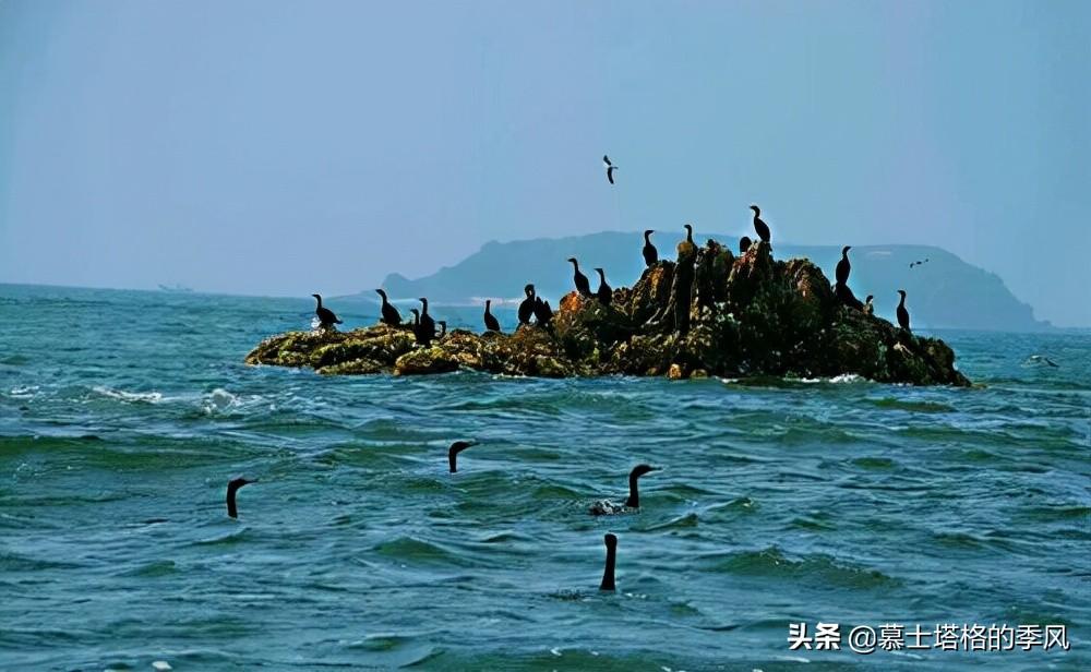 国内海边旅游景点便宜_海边旅游哪里好又便宜_国内海边旅游攻略