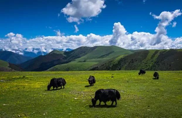 3月国外旅游的最佳地点_三月旅游国外最佳地_7月旅游最佳地方国外