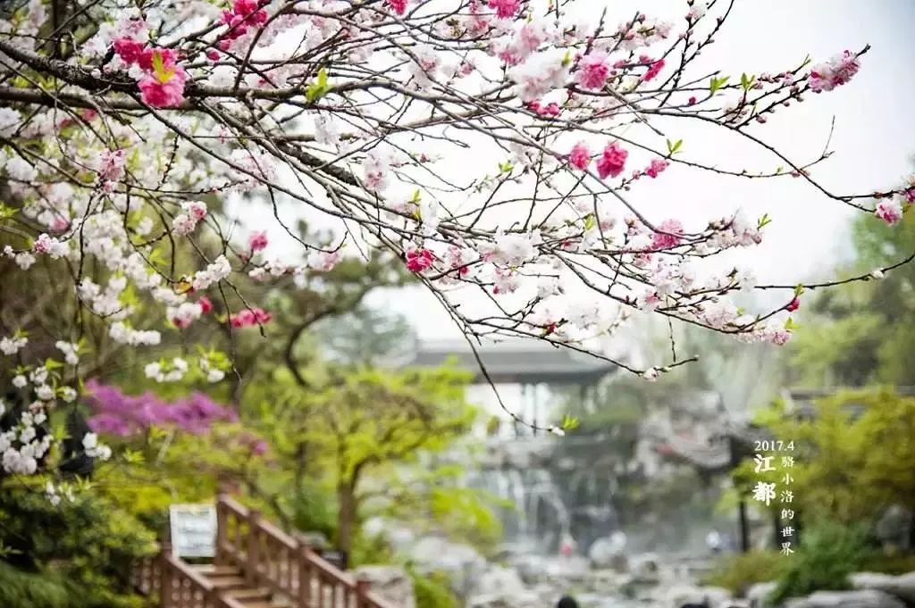 7月旅游最佳地方国外_三月旅游国外最佳地_3月国外旅游的最佳地点