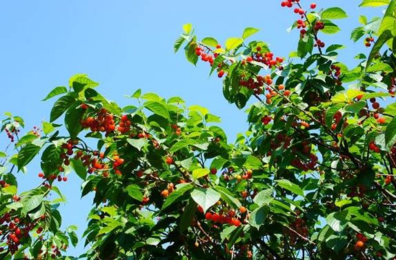 襄阳好玩的景点_襄阳夏天哪些地方好玩_襄阳自驾游去哪里好玩