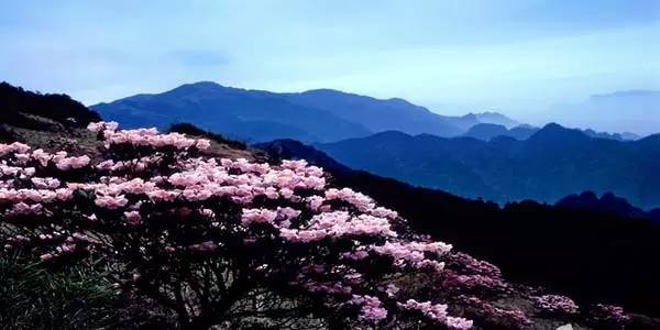 襄阳好玩的景点_襄阳夜晚哪里好玩_襄阳好玩的大型游乐场