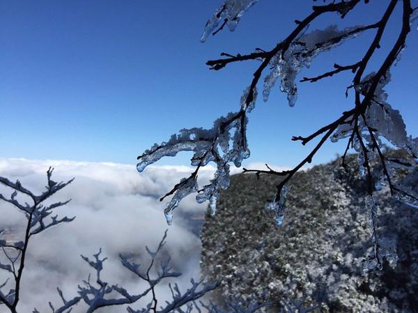 张家界天门山天门狐仙表演地址_天门山好玩还是武陵源好玩_张家界国家森林公园和天门山哪个好玩