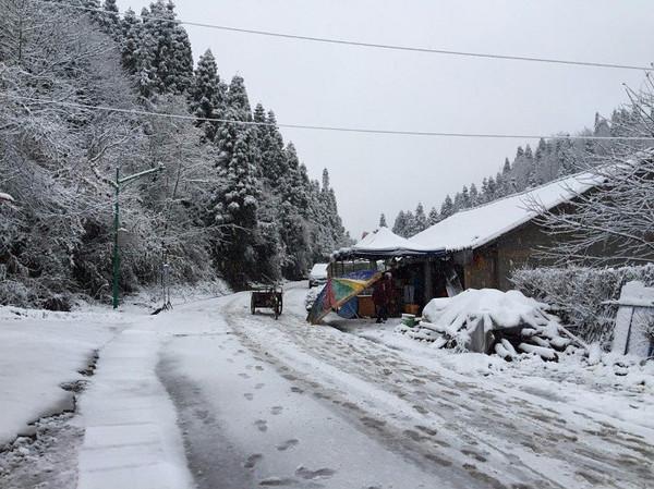 张家界国家森林公园和天门山哪个好玩_张家界天门山天门狐仙表演地址_天门山好玩还是武陵源好玩