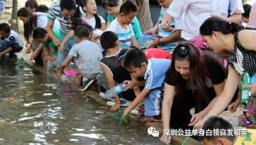 深圳春节去哪个夜场景点好玩_深圳农庄好玩的景点_深圳农庄好玩的景点