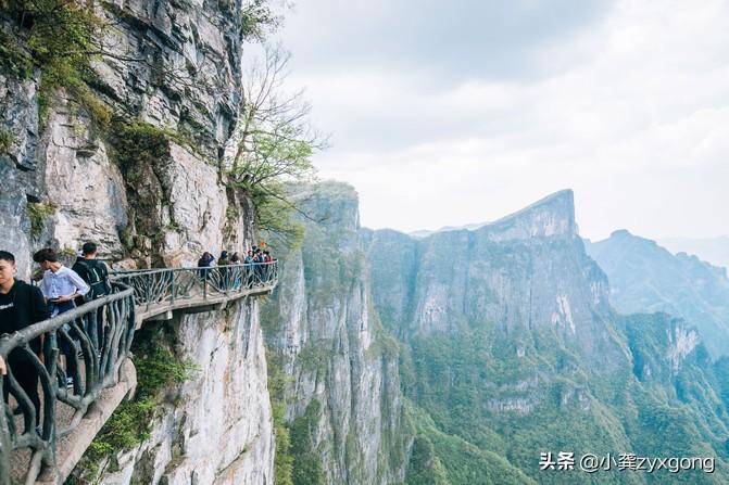 张家界国家森林公园和天门山哪个好玩_张家界天门山公园门票_张家界天门山离张家界市区多远