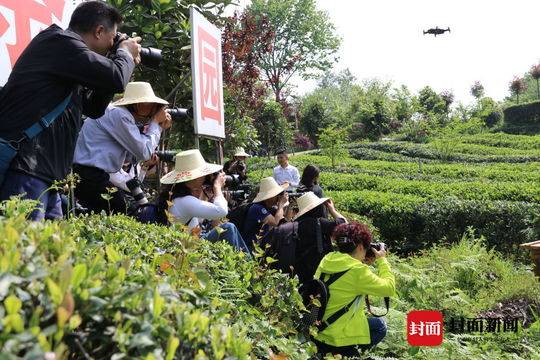 安仁古镇旅游攻略_安仁古镇旅游攻略_安仁古镇游玩攻略