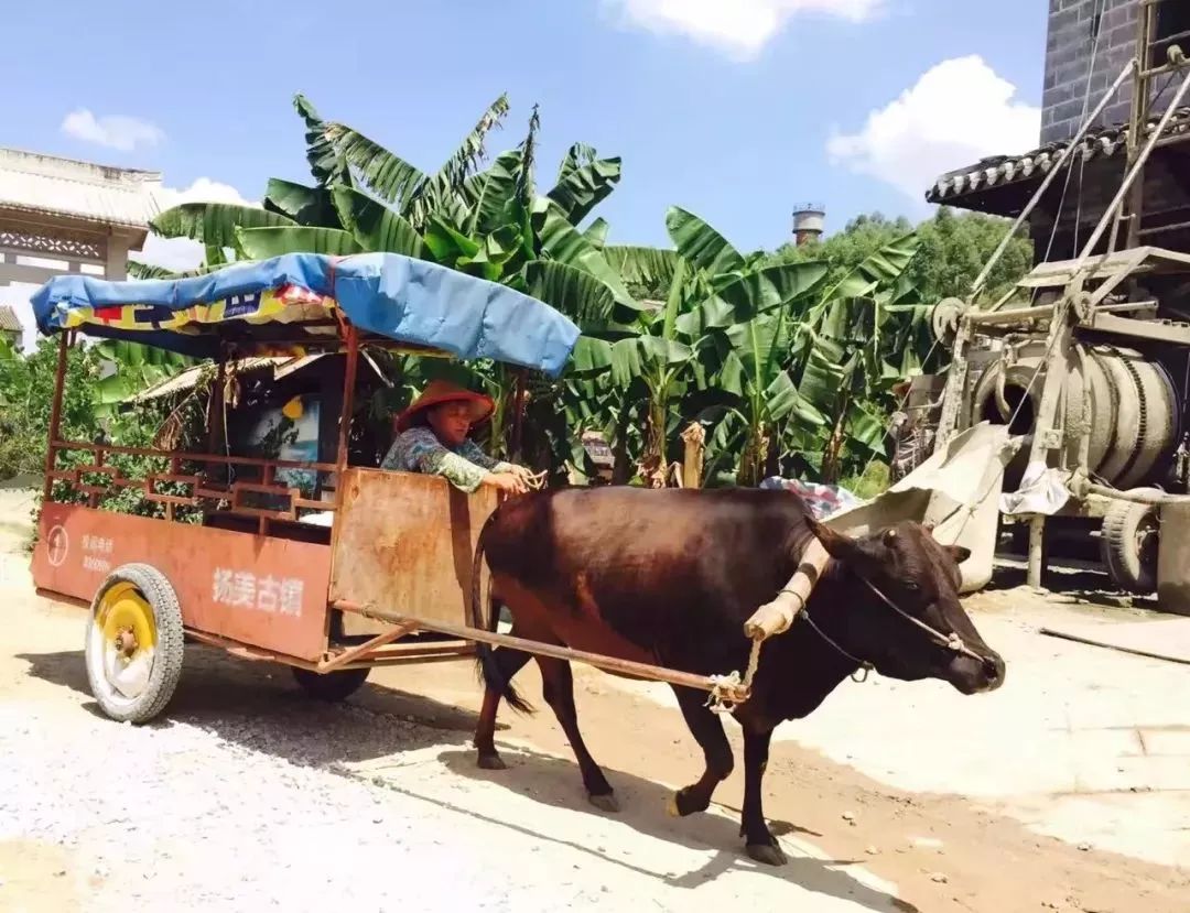 广西来宾旅游攻略_广西来宾附近旅游_广西巴马旅游攻略