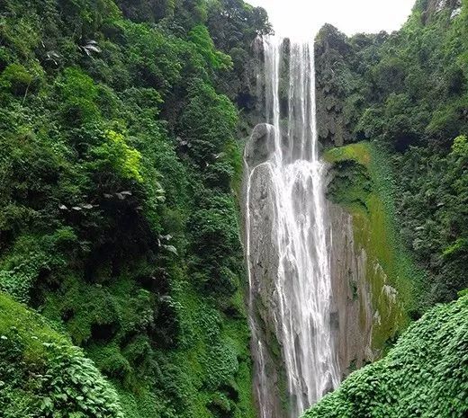 广西巴马旅游攻略_广西来宾旅游攻略_广西来宾附近旅游