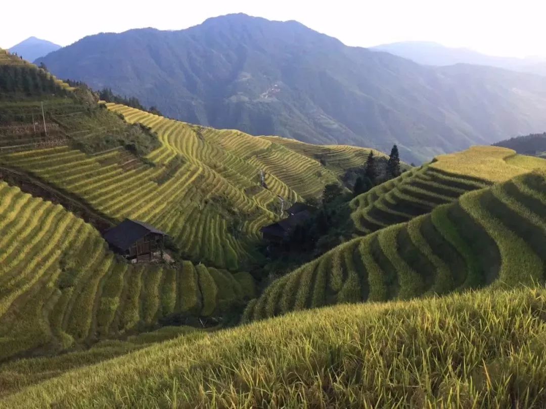 广西来宾旅游攻略_广西来宾附近旅游_广西巴马旅游攻略