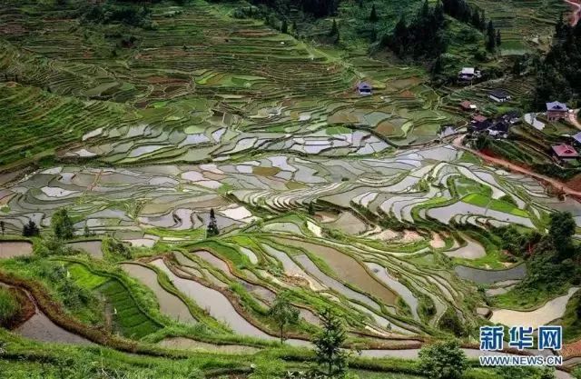 广西巴马旅游攻略_广西来宾附近旅游_广西来宾旅游攻略