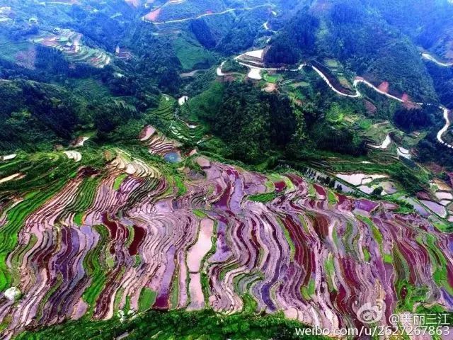 广西巴马旅游攻略_广西来宾附近旅游_广西来宾旅游攻略