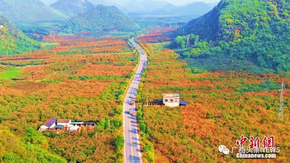 广西来宾旅游攻略_广西巴马旅游攻略_广西龙脊梯田旅游攻略