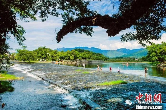 广西来宾旅游攻略_广西巴马旅游攻略_广西龙脊梯田旅游攻略