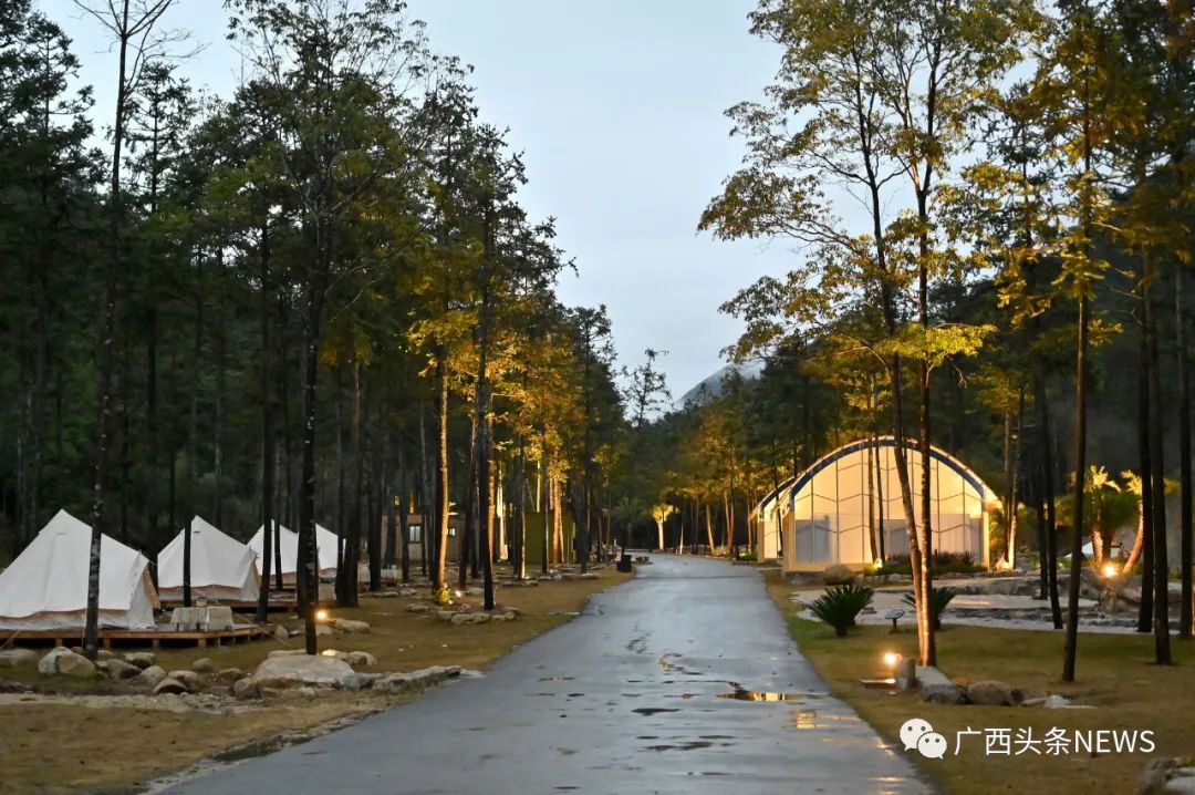 广西来宾旅游攻略_广西巴马旅游攻略_广西龙脊梯田旅游攻略