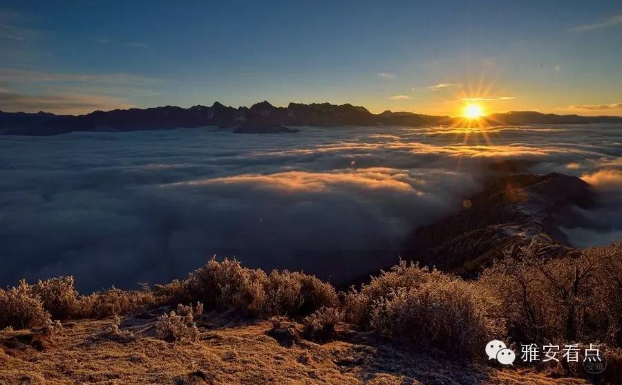 雅安2日游旅游攻略_雅安蒙顶山旅游攻略_雅安神木垒旅游攻略