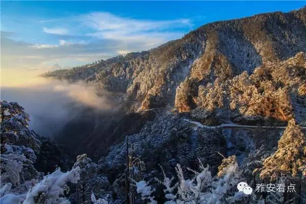 雅安神木垒旅游攻略_雅安2日游旅游攻略_雅安蒙顶山旅游攻略