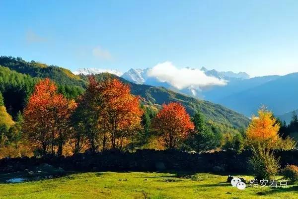 雅安2日游旅游攻略_雅安神木垒旅游攻略_雅安蒙顶山旅游攻略