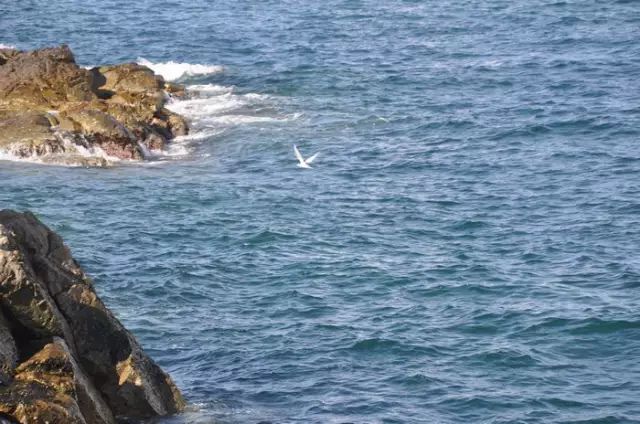 万科双月湾旅游攻略_冬季双月湾旅游攻略_惠州双月湾万科别墅