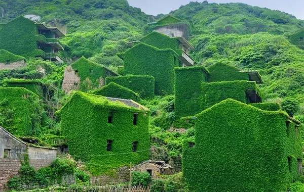 枸杞岛自由行旅游攻略_枸杞岛旅游攻略枸杞岛旅游_枸杞岛旅游攻略