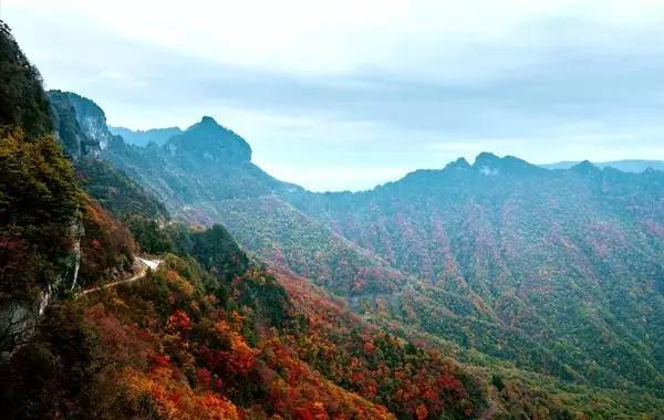 枸杞岛旅游攻略_枸杞岛旅游攻略枸杞岛旅游_枸杞岛自由行旅游攻略