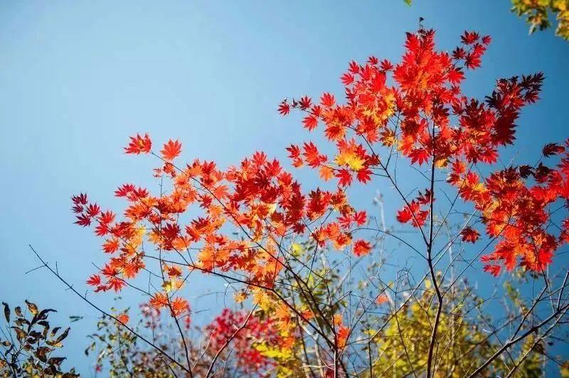 白山湖仁义风景区游玩攻略_白山湖仁义风景区旅游攻略照片_白山湖仁义风景区门票多少钱