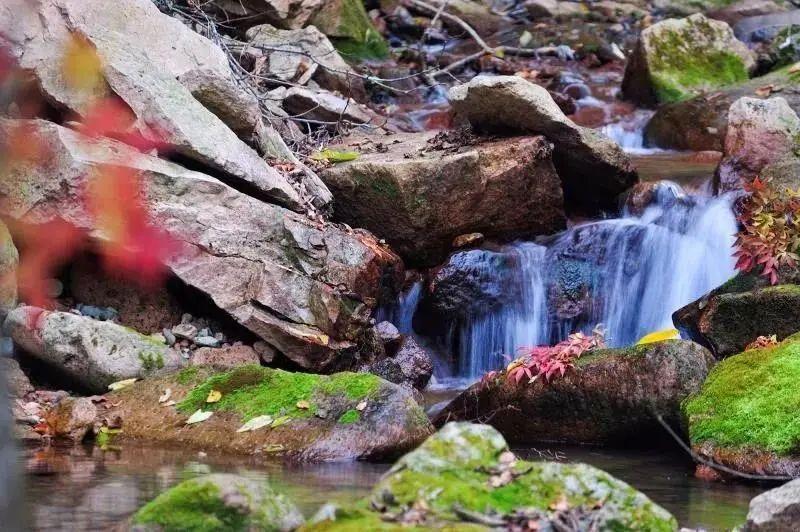 白山湖仁义风景区游玩攻略_白山湖仁义风景区旅游攻略照片_白山湖仁义风景区门票多少钱