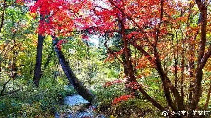 白山湖仁义风景区旅游攻略照片_白山湖仁义风景区门票多少钱_白山湖仁义风景区游玩攻略