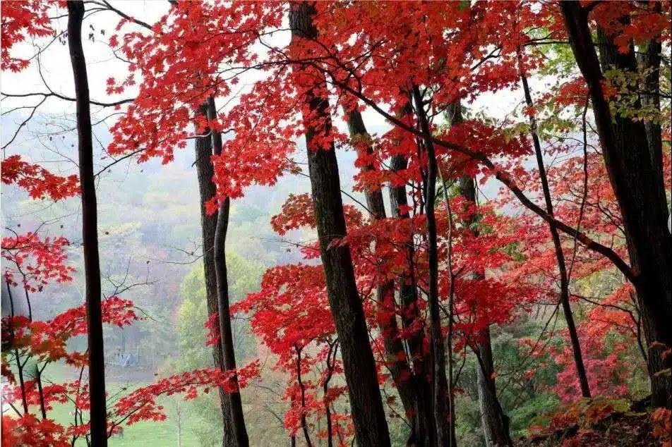 白山湖仁义风景区旅游攻略照片_白山湖仁义风景区游玩攻略_白山湖仁义风景区门票多少钱