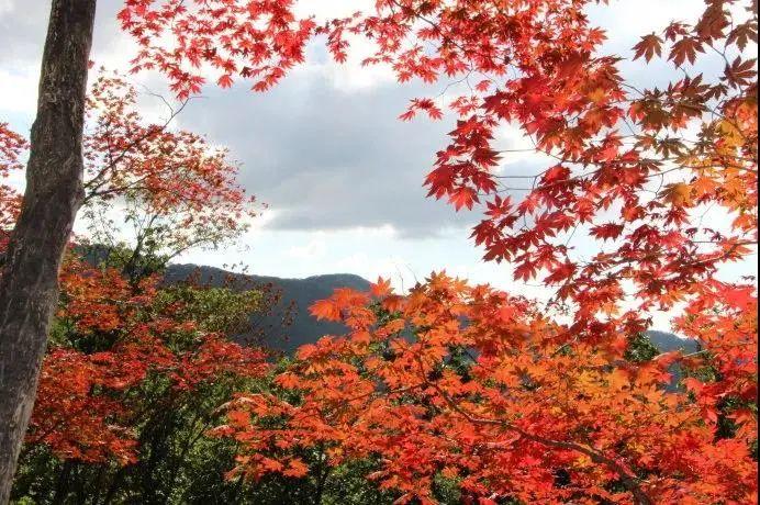 白山湖仁义风景区游玩攻略_白山湖仁义风景区门票多少钱_白山湖仁义风景区旅游攻略照片