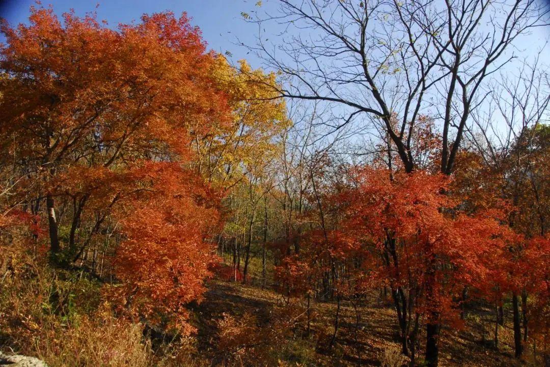 白山湖仁义风景区旅游攻略照片_白山湖仁义风景区门票多少钱_白山湖仁义风景区游玩攻略