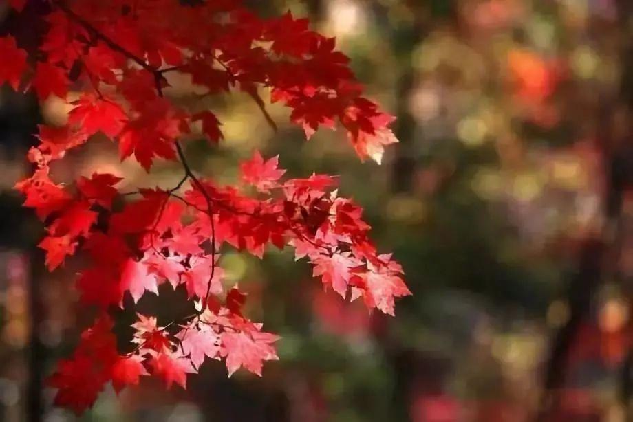 白山湖仁义风景区游玩攻略_白山湖仁义风景区旅游攻略照片_白山湖仁义风景区门票多少钱