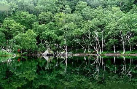 春节长白山旅游攻略_2021春节长白山风景区_长白山攻略春节旅游景点