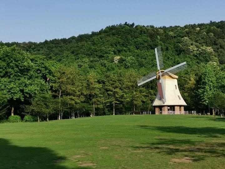 西湖风景区旅游攻略_西湖风景区旅游攻略_西湖风景区旅游攻略