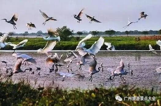 流溪河国家森林公园旅游攻略_流溪河国家森林公园旅游攻略_流溪河国家森林公园旅游攻略