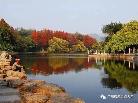 流溪河国家森林公园旅游攻略_流溪河国家森林公园旅游攻略_流溪河国家森林公园旅游攻略