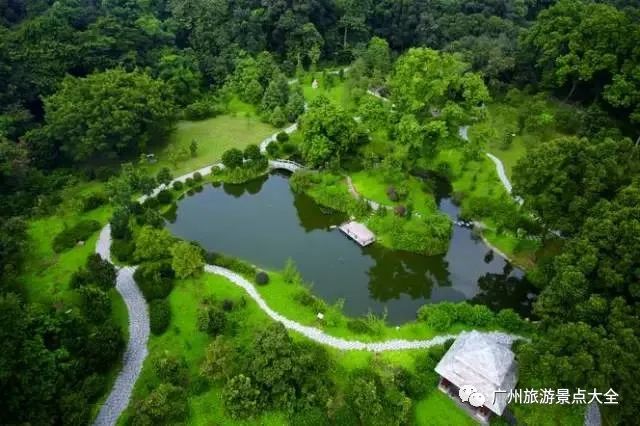 流溪河国家森林公园旅游攻略_流溪河国家森林公园旅游攻略_流溪河国家森林公园旅游攻略