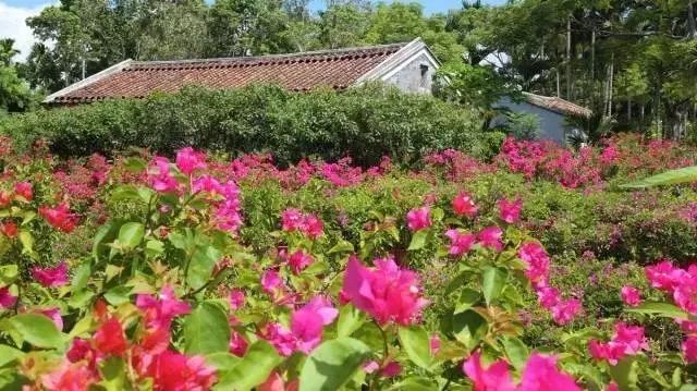 万宁旅游攻略自由行_自驾游万宁市旅游攻略_海南万宁旅行