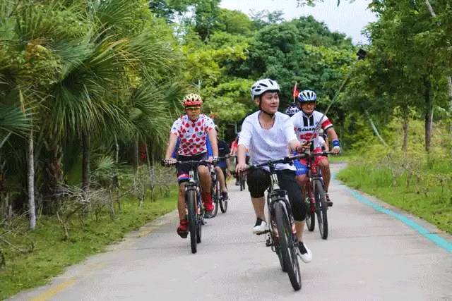 海南万宁旅行_万宁旅游攻略自由行_自驾游万宁市旅游攻略