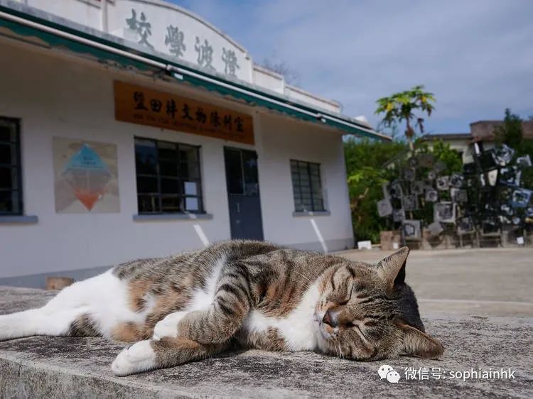 香港哪个离岛风景最好_香港离岛区有哪些好玩的景点_香港离岛一日游