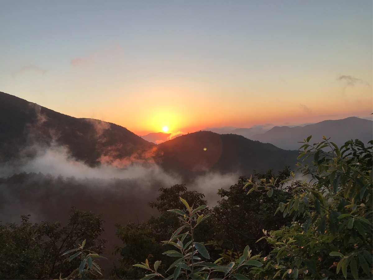 自驾庐山旅游攻略三天游_自驾庐山旅游攻略一日游_庐山自驾游旅游攻略