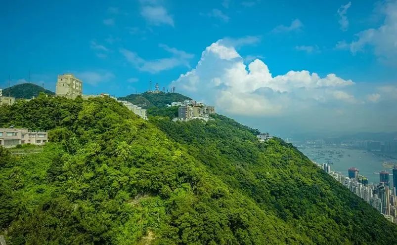 香港离岛区有哪些好玩的景点_香港离岛游_香港离岛有什么地方