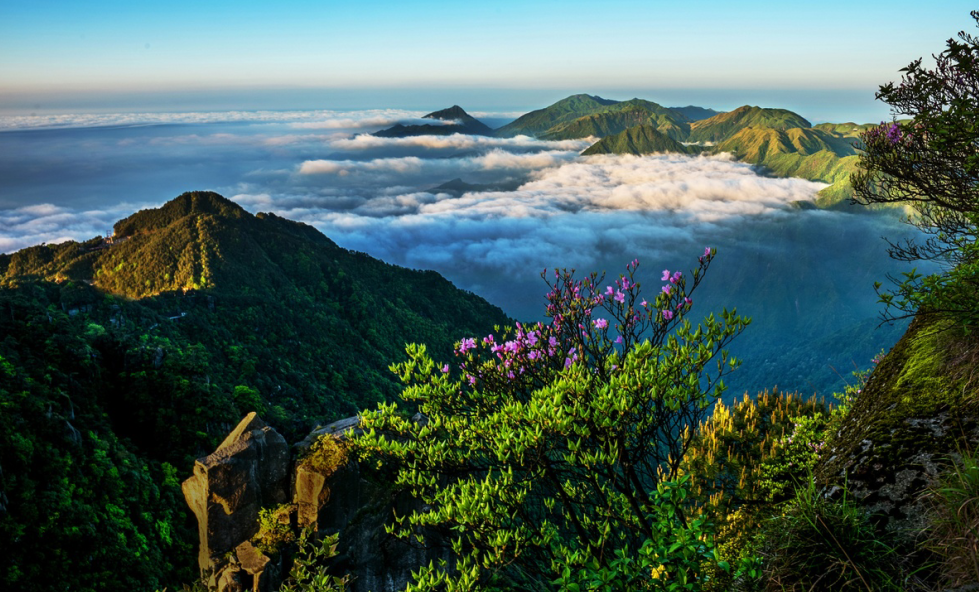 江西哪里好玩的景点_新乡便宜好玩景点_深圳好玩又免费的景点