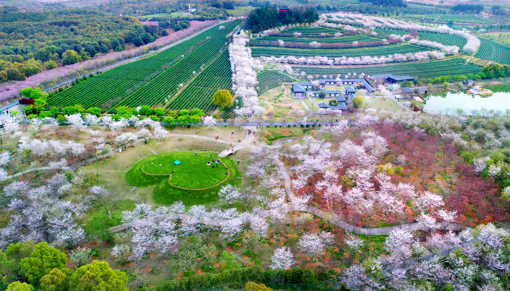 江西哪里好玩的景点_新乡便宜好玩景点_深圳好玩又免费的景点