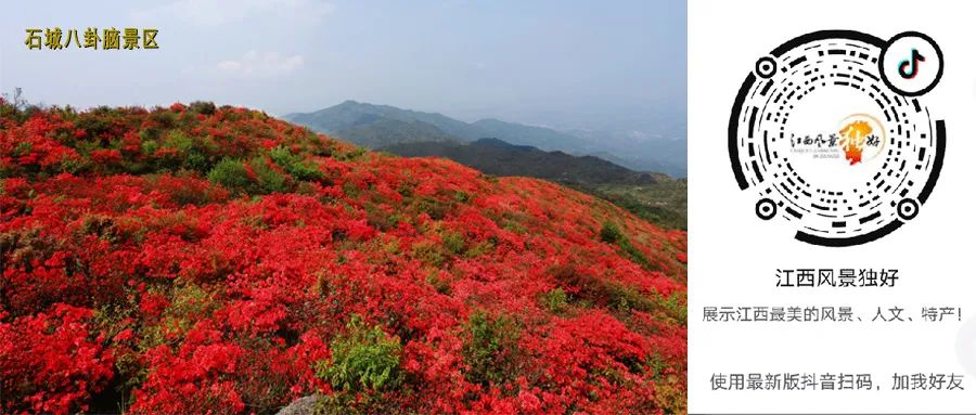 深圳好玩又免费的景点_江西哪里好玩的景点_新乡便宜好玩景点